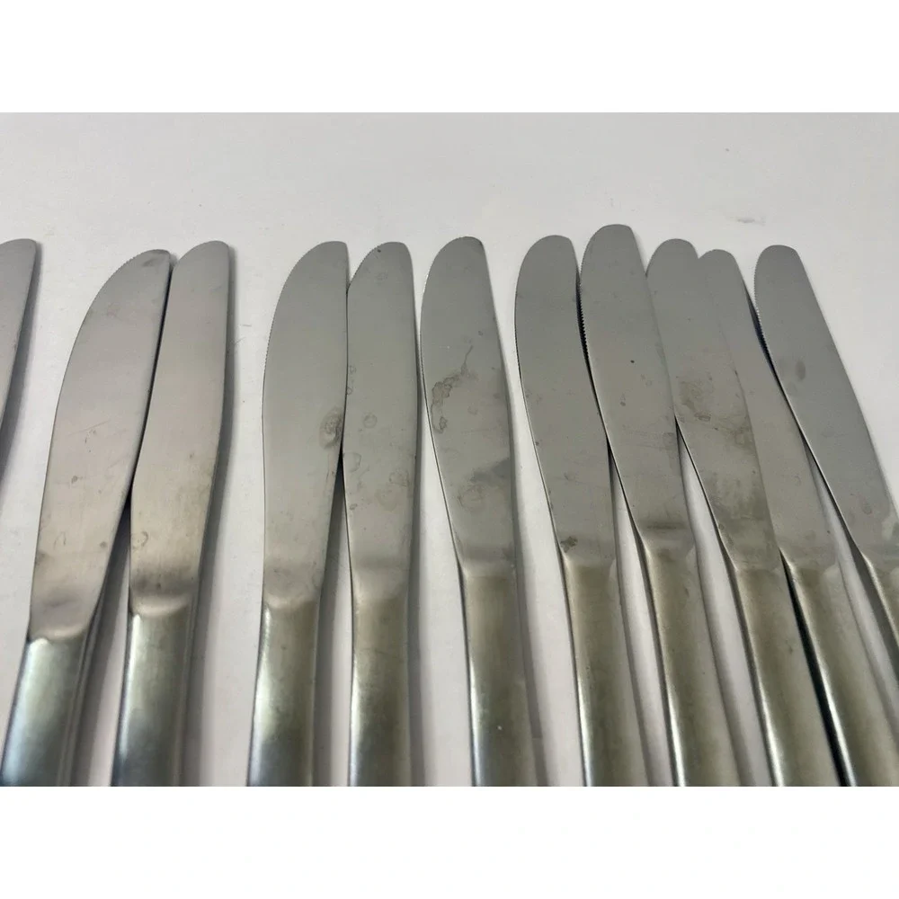 Dinner Knives CASA VISTA Rogers Stanley Roberts Stainless Lot Of 11